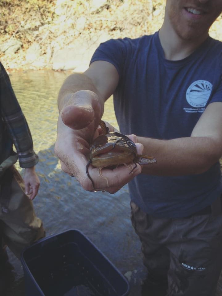 Trout Fishing in Deckers Creek 2016 - Friends of Deckers Creek