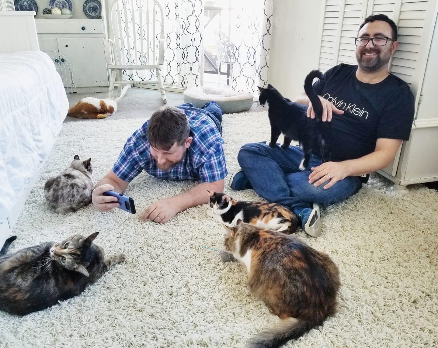 Bryan Silverberg and his husband interacting with cats.