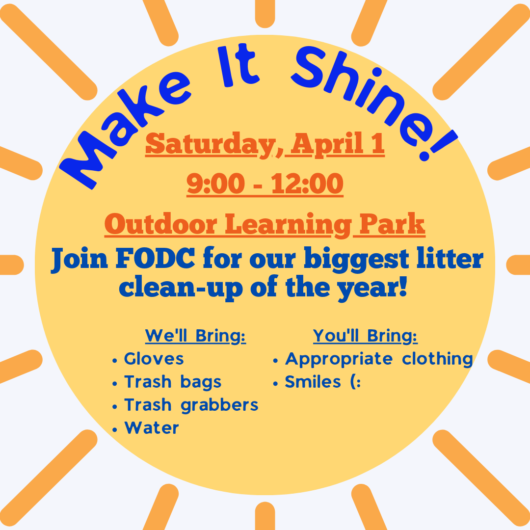 Make It Shine Cleanup Saturday April 1rst