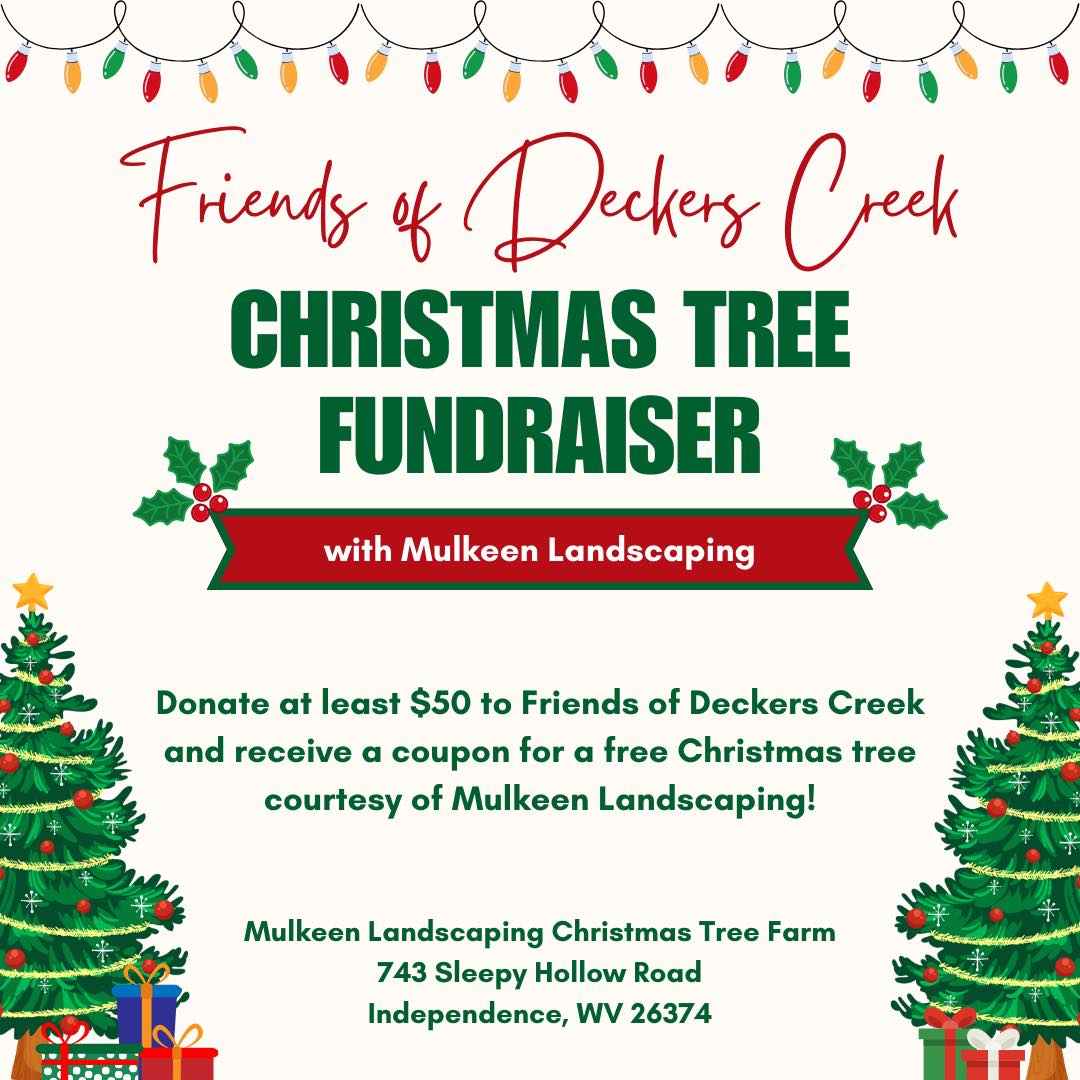 Christmas Tree Fundraiser with Mulkeen Landscaping