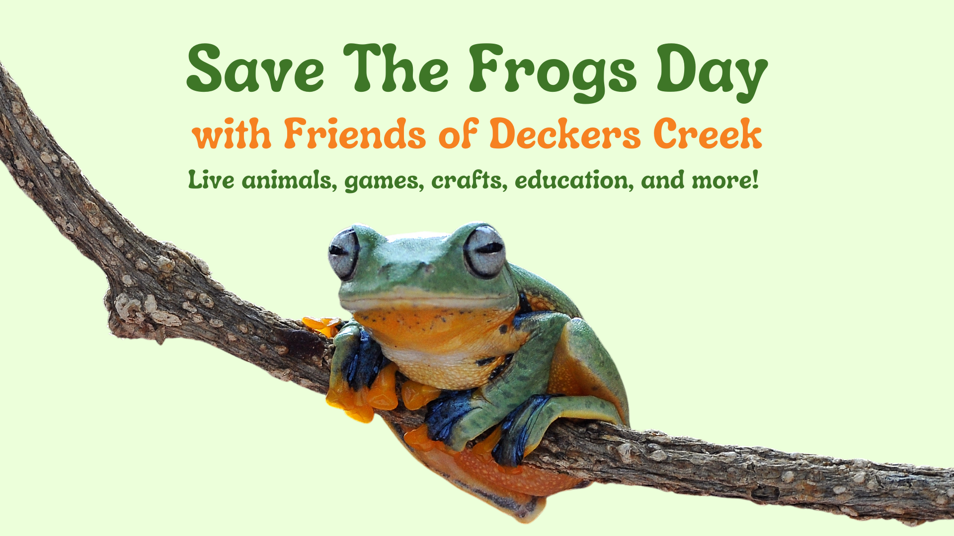 Save The Frogs Day 2024