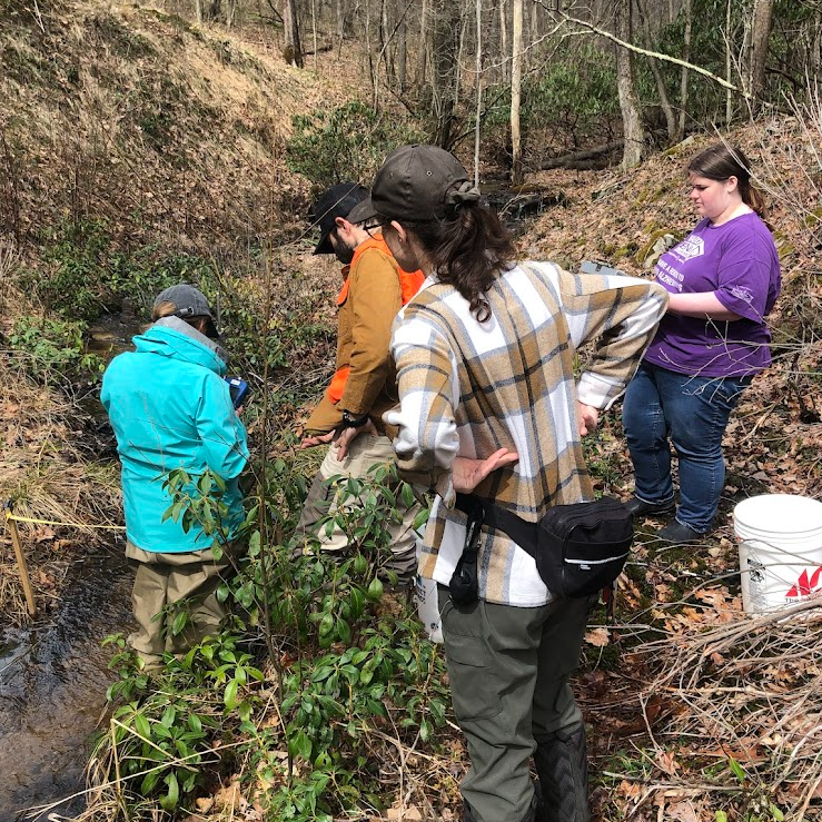 Screenshot 2026-04-07 162614